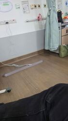 Blk 545 Jurong West Street 42 (Jurong West), HDB 4 Rooms #581345671